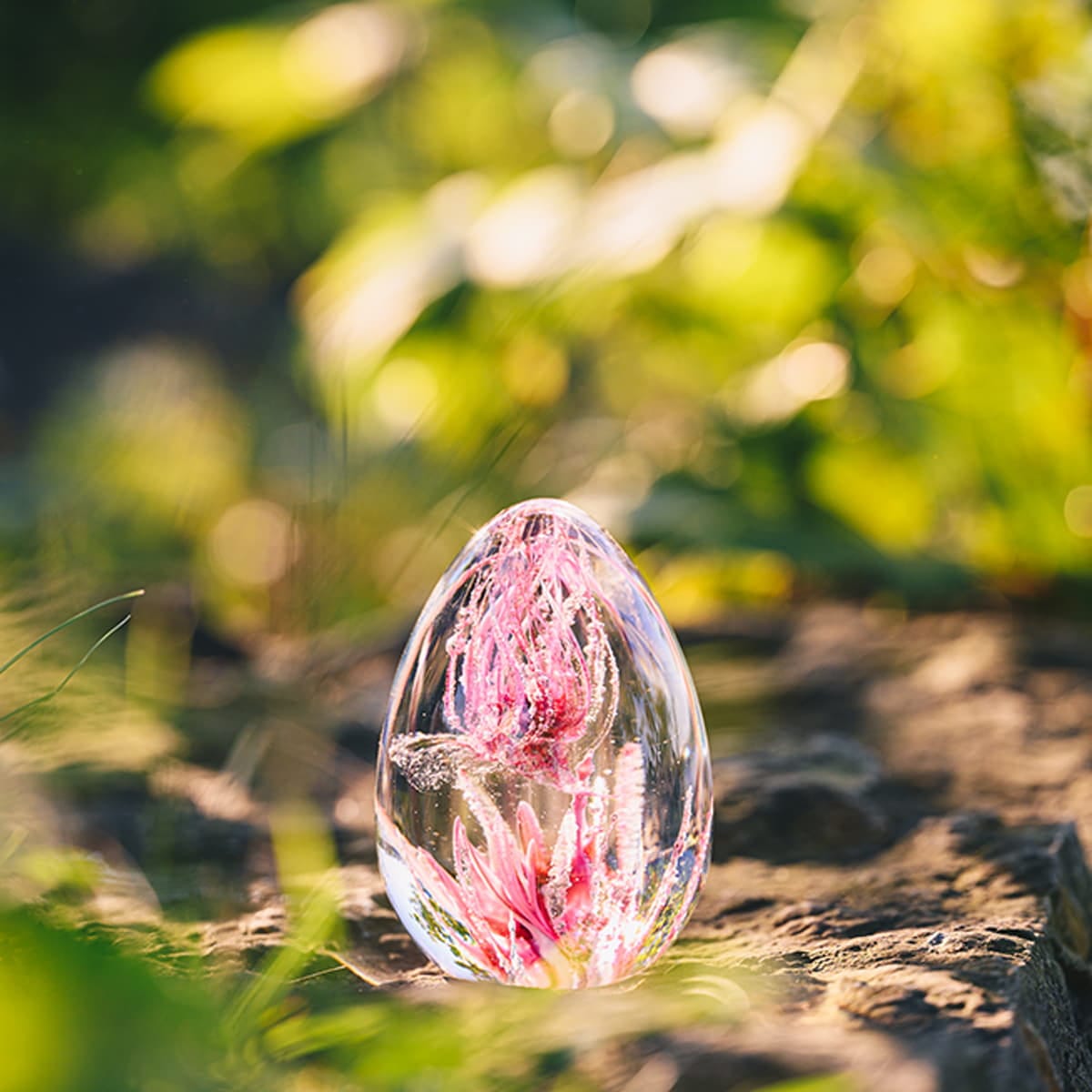 commemo_memoire-vivante-reg_fleur-de-cerisier_c-reel